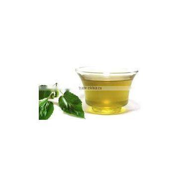 Nature Care Organic Tulsi Tea Bulk Supply