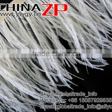 ZPDECOR No.1 Feather Supplier Feather Size 15-20 cm Beige Ostrich Feather Fringe photo-2