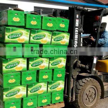 Bulk fresh ginger in carton package