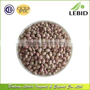 Northwest China Light Speckled Kidney Beans Round Shape,Xinjiang Origin