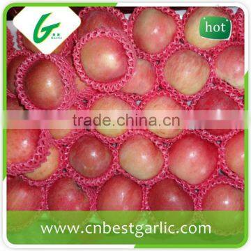 Bagged fresh fuji apple from China hot sale