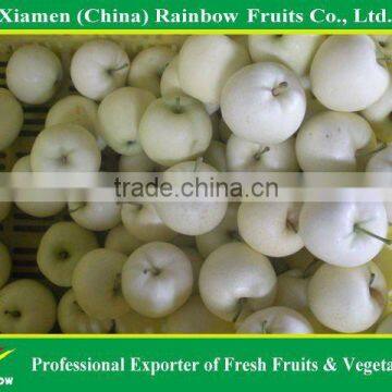 Golden Apple photo-3