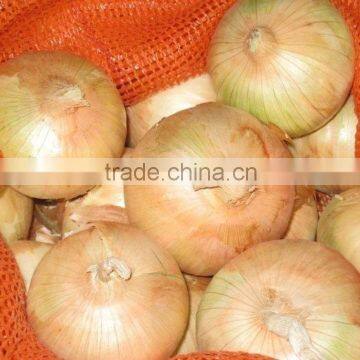 Fresh (RED ,Yellow , White ) ONION photo-5
