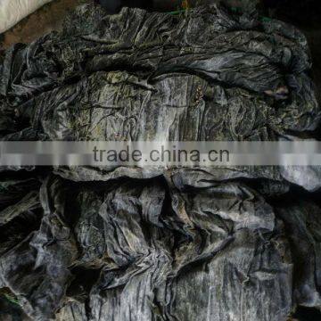 2014 year crop of Dried cut sea algae dried cut kelp