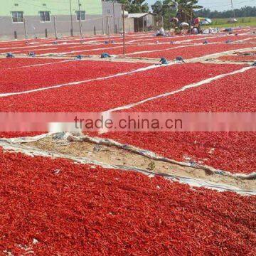 Dry Red Chili / Pepper - High Quality From Vietnam photo-2