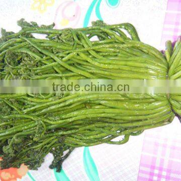 Bracken in brine