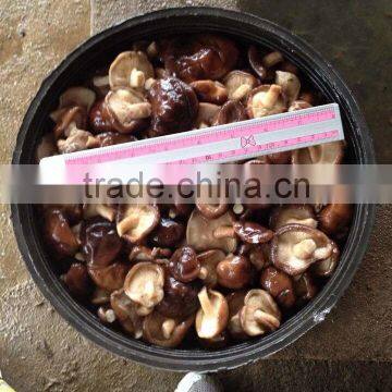 reasonable edible whole shiitake bulk shiitake mushrooms large plastic mushrooms