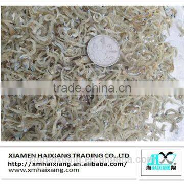 Dried salted anchovies fish supplier