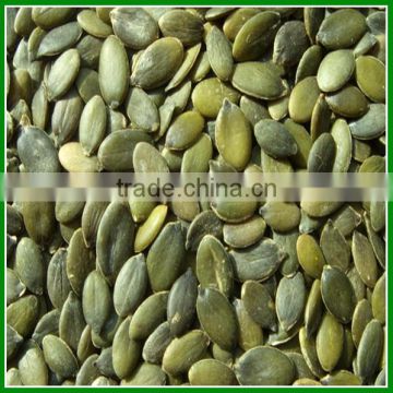 Hot Sale 2015 Pumpkin Seeds Kernels With Best Quality For Human Snack