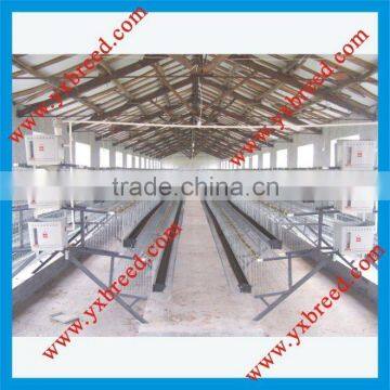 very good price,best quality factory chicken layer battery cages