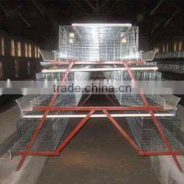Poultry Dung Removing Machinery Equipment /layer Poultry Cages for Nigeria/africa