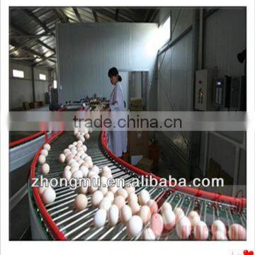 Automatic Layer Poultry Cage With Egg Collecting Machine photo-6