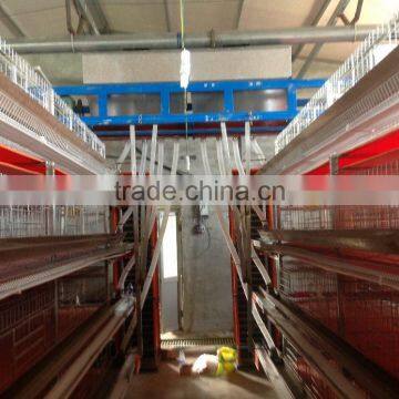 Layer chicken cage design for farm chicken poultry shed of H type