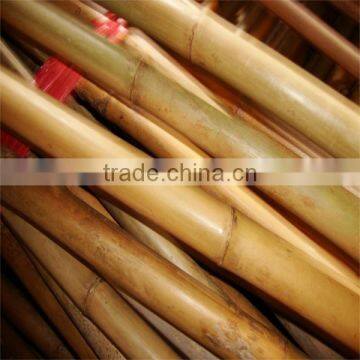 natural stright bamboo pole