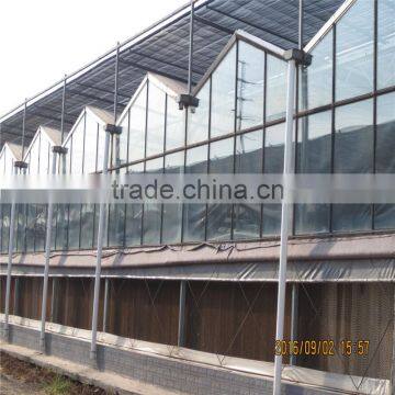 Hot Selling AL Frame Horticultural Green House for Export photo-5