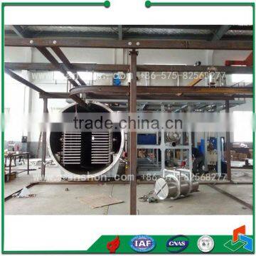 China Meat Freeze Dryer,Freeze Dried Mangosteen,Lyophilizer Manufacturers