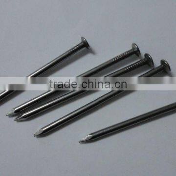 Good Quality 15cm Common Nails/polished Iron Nail / Standard Wire Nail photo-5