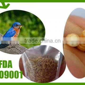 High Quality Fish Food And Bird Food Dried Mealworm photo-2
