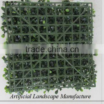 Anti-UV Grass Carpet , Artificial Milan Grass for Wholesale photo-6