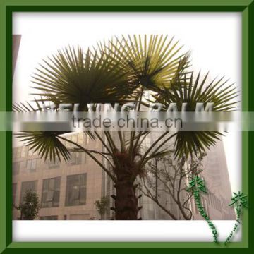 Artificial Palm Leaf,plastic palm frond,washingtonia palm leaf