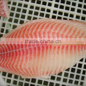 Frozen Tilapia Fillet From Zhejiang of China photo-2