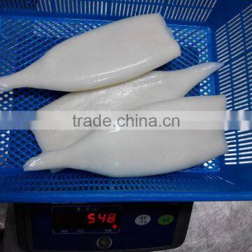Wholesale Frozen Seafood Squid Tube photo-3