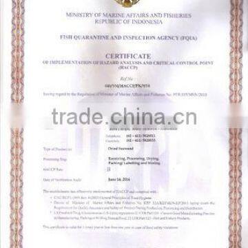 Gracilaria Seaweed With Good Quality