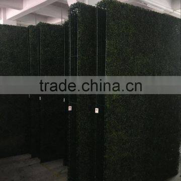 Dongguan LZY Outdoor Artificial Boxwood Hedge Wall photo-3