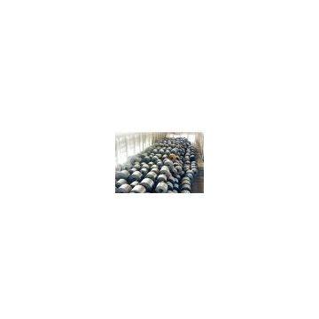 Cold rolled steel strip