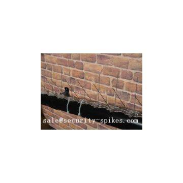 Bird Spikes photo-2
