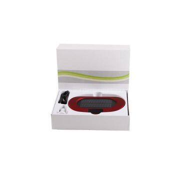 Car Air Purifier With Polar Panel