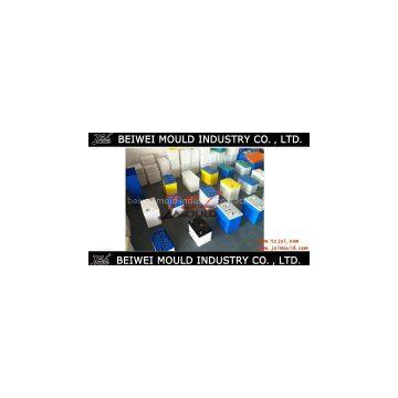 injection plastic auto battery container mould