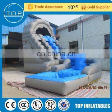 Golden Supplier jeux gonflable slip n giant adult inflatable slide with high quality