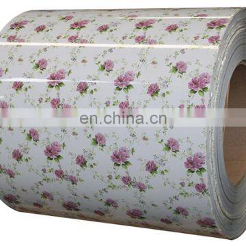 Prepaint Galvanized Steel PPGI for Building Material