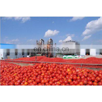 Tomato paste production line tomato sauce processing machine