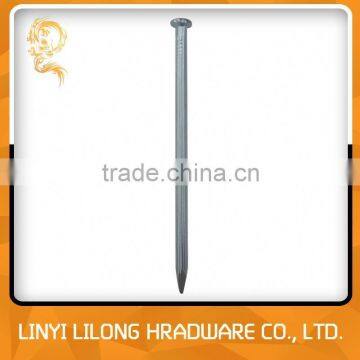 Galvanized Concrete Steel Nails