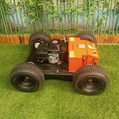 Radio Controlled Slope Mower, China Radio Controlled Lawn Mower Price, Robotic Brush Mower for Sale photo-2