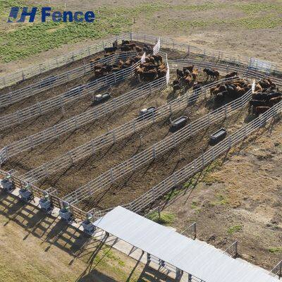 Ultra-Secure Cattle Panel: Smooth Snag-Free Design Prevents Animal Injuries While Ensuring Total Containment photo-2