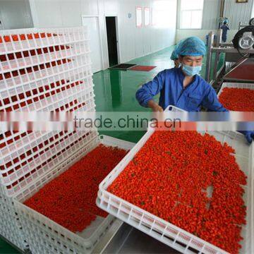 Organic Dried Goji Berries Dried Fruit Wholesaler photo-3