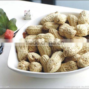 blanched peanut 40/50 from china