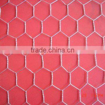 3/4" Hexagonal Twisted Wire Netting