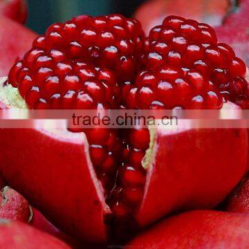 Red Sweet Pomegranates