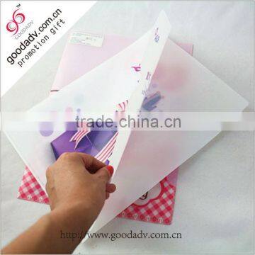Factory custom clear plastic folder sheet/pp file holder                        
                                                Quality Choice