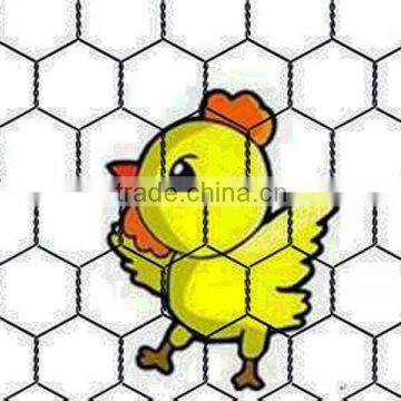 galvanized chicken mesh wire netting