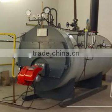 Longwell Hot Sale WNS Series Steam Gas Boilers for Sale photo-5