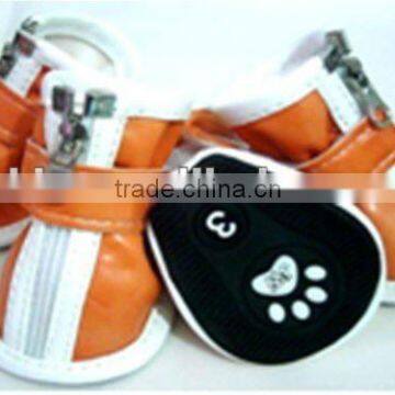 dog warn shoes
