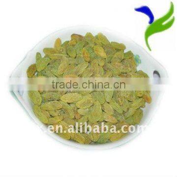 All Kinds of Dried Fruits Raisins