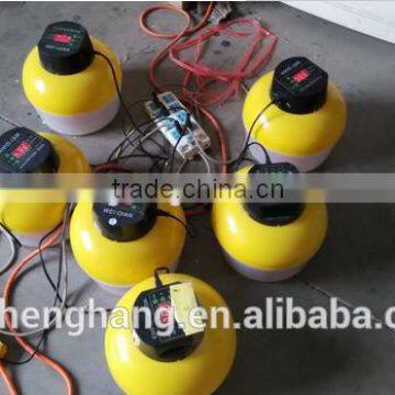 High Hatching Rate Best Selling ZH-8 Egg Incubator for Sale, Dual Power Incubator Mini