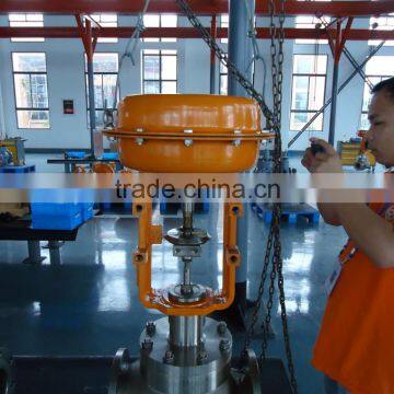 Globe control valve