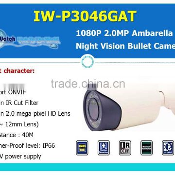 IW-P3046GAT 1080P Night Vision Auto Focus IP Camera